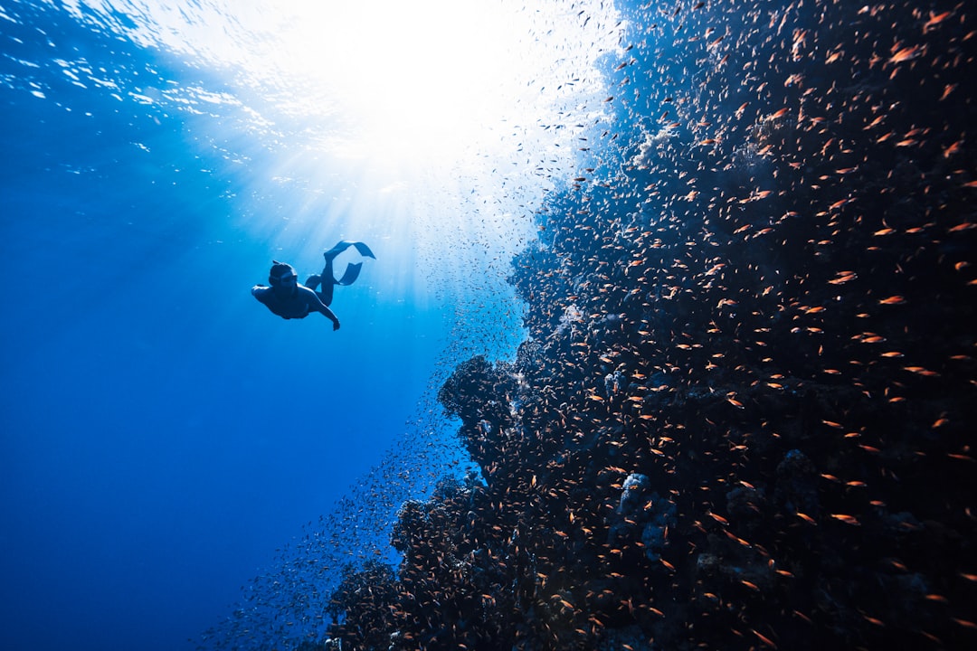 The Unseen Path: Discovering Adventure Beyond the Beaten Track